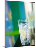 A Glass of Sparkling Mineral Water with a Wedge of Lemon-Brigitte Protzel-Mounted Photographic Print