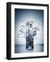 A Glass of Water Shattering-Antonios Mitsopoulus-Framed Photographic Print