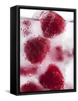 A Glass of Water with Raspberry Ice Cubes-Nadja Walger-Framed Stretched Canvas