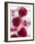 A Glass of Water with Raspberry Ice Cubes-Nadja Walger-Framed Photographic Print