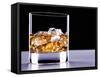 A Glass of Whisky with Ice Cubes-Mark Vogel-Framed Stretched Canvas