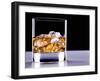 A Glass of Whisky with Ice Cubes-Mark Vogel-Framed Photographic Print