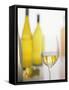 A Glass of White Wine and Wine Bottles in Background-Ulrike Koeb-Framed Stretched Canvas