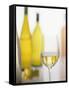 A Glass of White Wine and Wine Bottles in Background-Ulrike Koeb-Framed Stretched Canvas