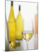 A Glass of White Wine and Wine Bottles in Background-Ulrike Koeb-Mounted Photographic Print