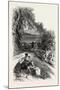 A Glimpse of Bordighera, the Cornice Road, Italy, Liguria----, 19th Century-null-Mounted Giclee Print