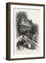 A Glimpse of Bordighera, the Cornice Road, Italy, Liguria----, 19th Century-null-Framed Giclee Print