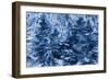 A Glimpse of Harmony-Rikki Drotar-Framed Giclee Print