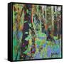 A Glimpse Of Spring-Sylvia Paul-Framed Stretched Canvas