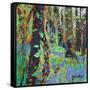 A Glimpse Of Spring-Sylvia Paul-Framed Stretched Canvas