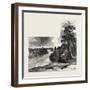A Glimpse of the Niagara Falls from Clinton, Canada, Nineteenth Century-null-Framed Giclee Print