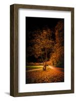 A Glow in the Night-Philippe Saint-Laudy-Framed Photographic Print