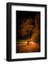 A Glow in the Night-Philippe Saint-Laudy-Framed Photographic Print