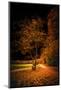 A Glow in the Night-Philippe Saint-Laudy-Mounted Photographic Print