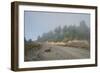 A Goat Sitting in a Road-Clive Nolan-Framed Photographic Print