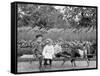 A Goat Team, Highland Park, Rochester, N.Y.-null-Framed Stretched Canvas