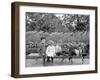 A Goat Team, Highland Park, Rochester, N.Y.-null-Framed Photo