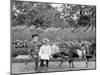 A Goat Team, Highland Park, Rochester, N.Y.-null-Mounted Photo