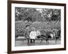 A Goat Team, Highland Park, Rochester, N.Y.-null-Framed Photo