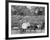 A Goat Team, Highland Park, Rochester, N.Y.-null-Framed Photo