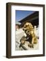 A Gold Lion Statue, Zijin Cheng, the Forbidden City Palace Museum-Christian Kober-Framed Photographic Print