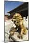 A Gold Lion Statue, Zijin Cheng, the Forbidden City Palace Museum-Christian Kober-Mounted Photographic Print