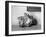 A Gold Nugget-null-Framed Photographic Print