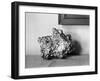 A Gold Nugget-null-Framed Photographic Print