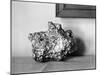 A Gold Nugget-null-Mounted Photographic Print