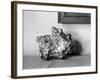 A Gold Nugget-null-Framed Photographic Print