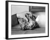 A Gold Nugget-null-Framed Photographic Print