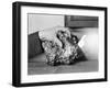 A Gold Nugget-null-Framed Photographic Print