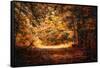 A Golden Journey-Jai Johnson-Framed Stretched Canvas