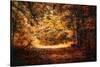 A Golden Journey-Jai Johnson-Stretched Canvas