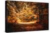 A Golden Journey-Jai Johnson-Stretched Canvas