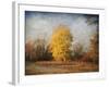 A Golden Moment-Jai Johnson-Framed Giclee Print