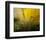 A Golden Morning Shower-null-Framed Premium Giclee Print