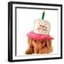 A Golden Retriever Puppy Wearing a Happy Birthday Hat-Hannamariah-Framed Photographic Print