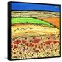 A Golden Summer-Caroline Duncan-Framed Stretched Canvas