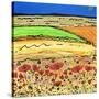 A Golden Summer-Caroline Duncan-Stretched Canvas