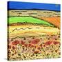 A Golden Summer-Caroline Duncan-Stretched Canvas