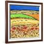 A Golden Summer-Caroline Duncan-Framed Giclee Print