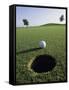 A Golf Ball Just Short of the Hole-null-Framed Stretched Canvas