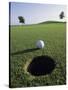 A Golf Ball Just Short of the Hole-null-Stretched Canvas