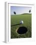 A Golf Ball Just Short of the Hole-null-Framed Premium Photographic Print