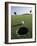 A Golf Ball Just Short of the Hole-null-Framed Photographic Print