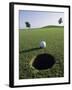 A Golf Ball Just Short of the Hole-null-Framed Photographic Print