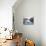 A Gondola Crossing the Grand Canal, Venice, UNESCO World Heritage Site, Veneto, Italy, Europe-Amanda Hall-Mounted Photographic Print displayed on a wall