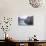 A Gondola Crossing the Grand Canal, Venice, UNESCO World Heritage Site, Veneto, Italy, Europe-Amanda Hall-Photographic Print displayed on a wall