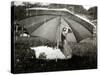 A Goose Takes Cover from the Heavy Rainfall Underneath an Umbrella, Dorset, October 1968-null-Stretched Canvas